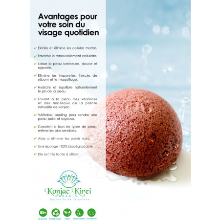 EPONGE VISAGE - THE VERT - KONJAC KIREI PARIS | Les4Nages