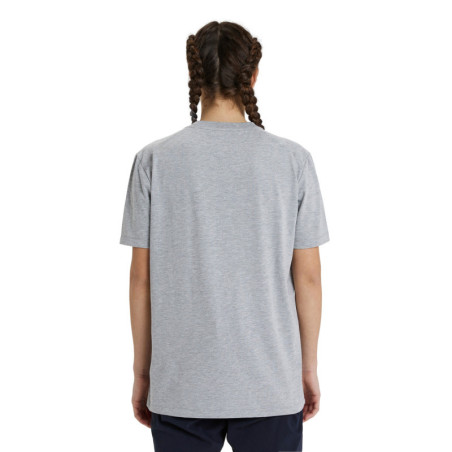 Tee shirt Arena TEAM T-SHIRT PANEL MEDIUM GREY HEATHER - Tee shirt unisexe | Les4Nages